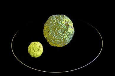 Helmut Raab: Ferne Planeten